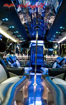 Hens Party Bus